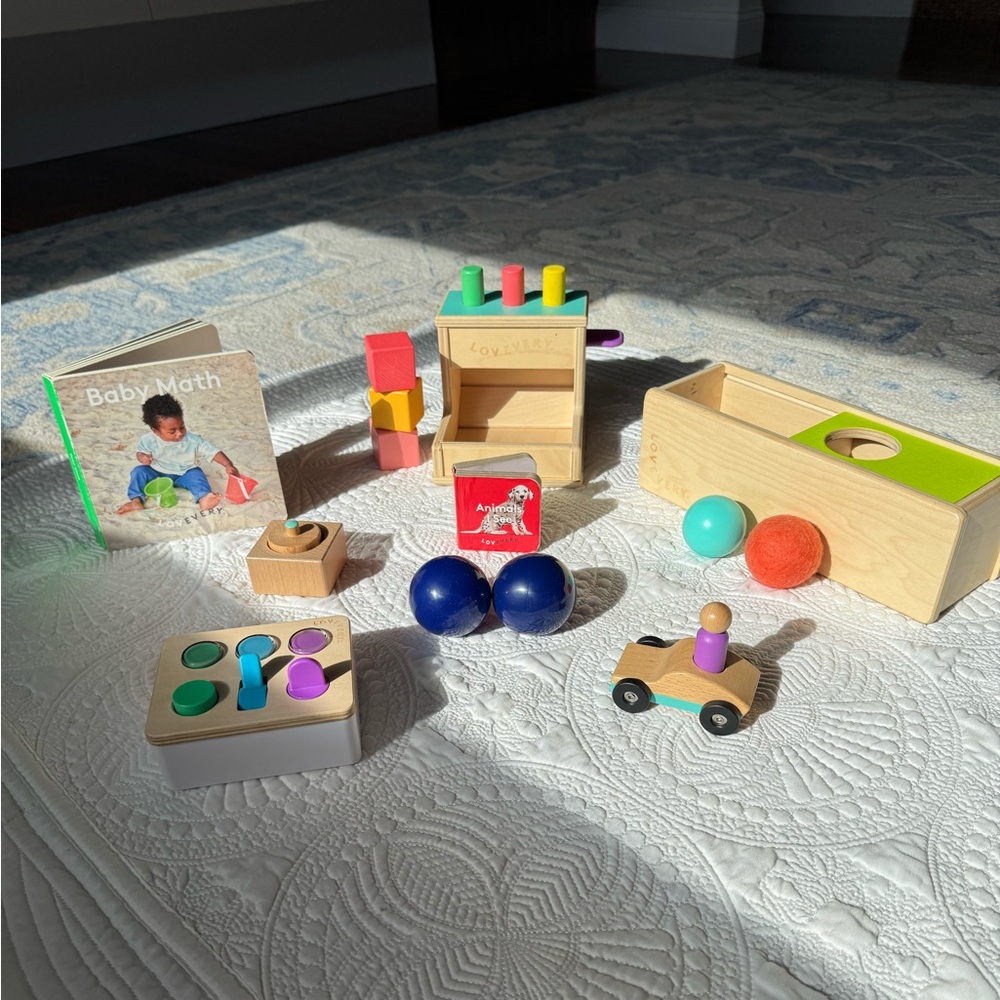 The Thinker Play Kit Lovevery Months 11-12 w extras